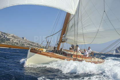 A29X1904.jpg