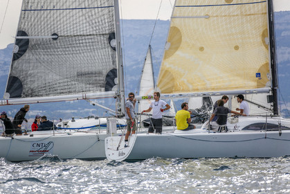 VireVire2014-40.jpg