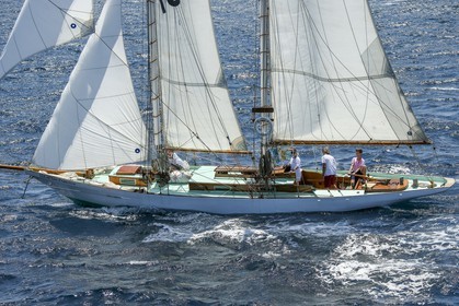 A29X1488.jpg
