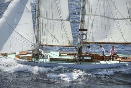 A29X1486.jpg