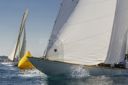 O60A8145.jpg