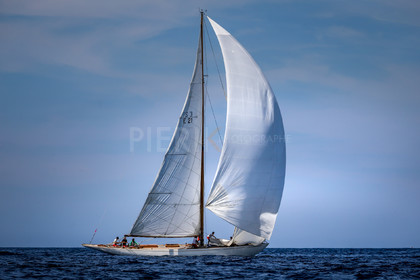 A29X4824.jpg