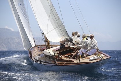 A29X6515.jpg