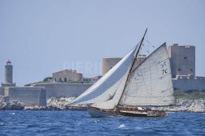 VVP_2023-08594.jpg