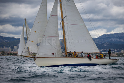 A29X9554.jpg