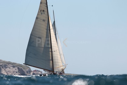 Irène VIII