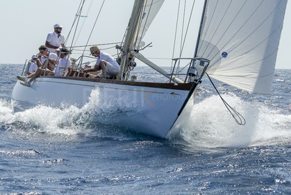 A29X1720.jpg