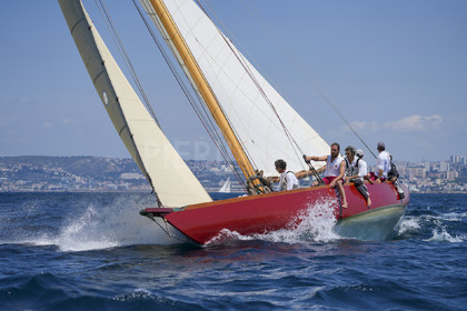 VVP_2023-08340.jpg