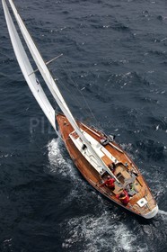 Palynodie II