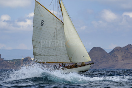 O60A6313.jpg