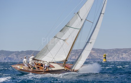 A29X9081.jpg