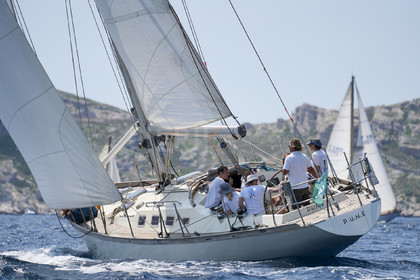 VVP_2023-07656.jpg