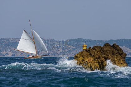 DSC09678.jpg