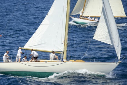 A29X1414.jpg
