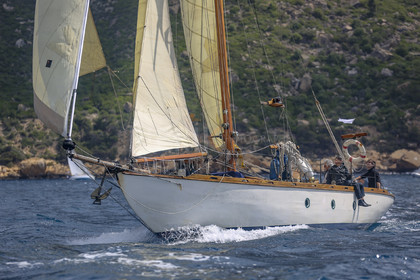 O60A5428.jpg