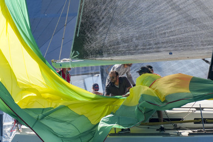 DSC01152.jpg