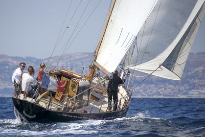 A29X9337.jpg