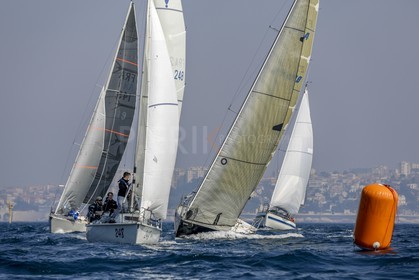 _L6A2006.jpg
