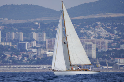 VVP_2023-7009.jpg