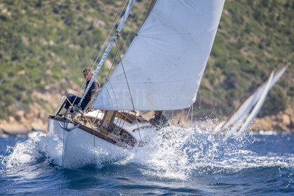 A29X6213.jpg