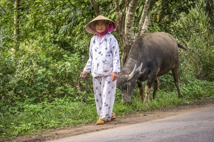 Hoi An-39.jpg