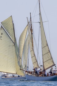 A29X7563.jpg