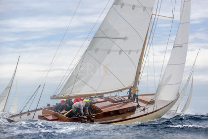 O60A2050.jpg