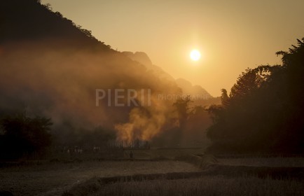 20122013-BL6A2642.jpg