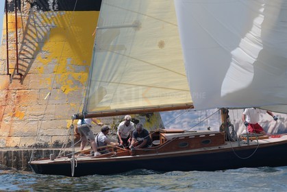 Windhover