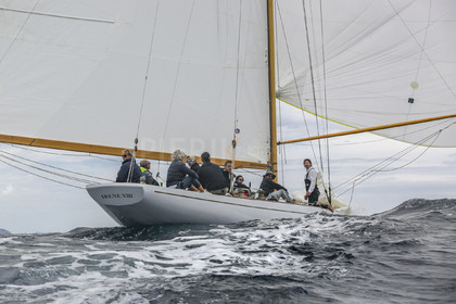 O60A1611.jpg