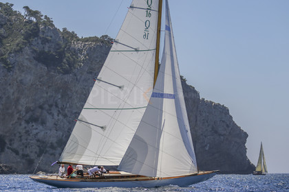 A29X9311.jpg