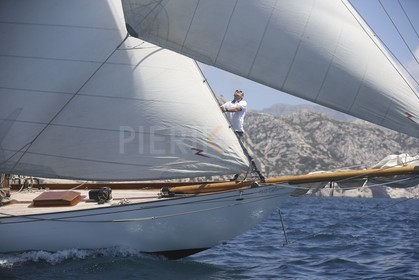 A29X6724.jpg