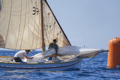 DSC00885.jpg