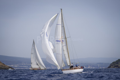 _DSC7589.jpg