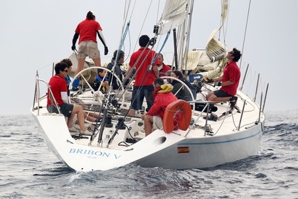Bribon V