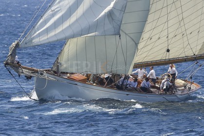 O60A1493.jpg