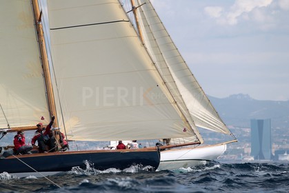 Windhover