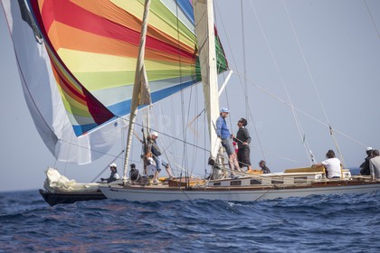 A29X7116.jpg