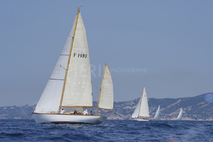 VVP_2023-07511.jpg