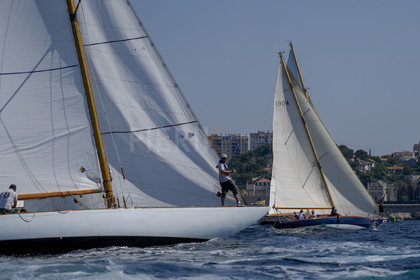 _DSC8251-c.jpg