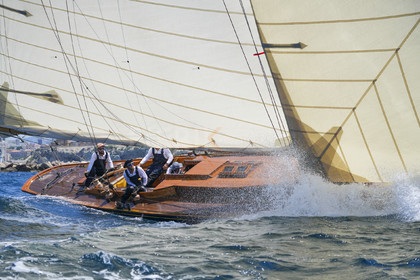 VVP_2023-08364.jpg