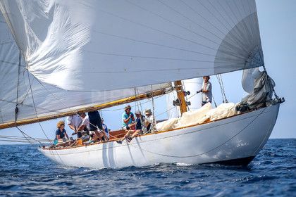 A29X4836.jpg