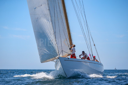 A29X4447.jpg