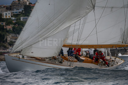 A29X9503.jpg