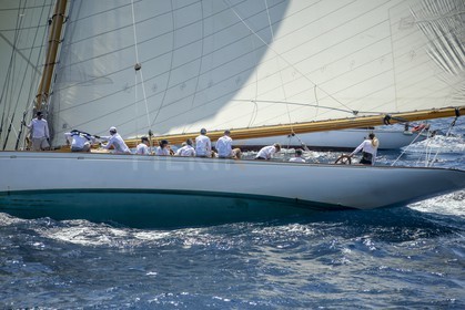 A29X1595.jpg