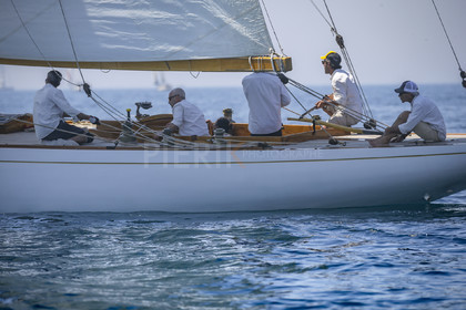 A29X7167.jpg