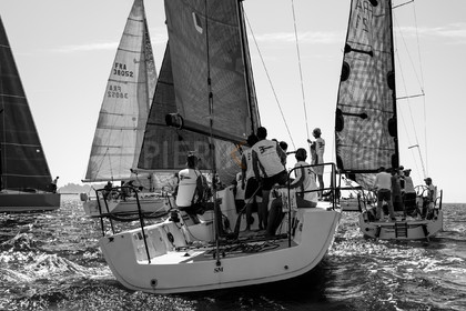 _DSC0504.jpg