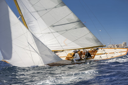 A29X1211.jpg