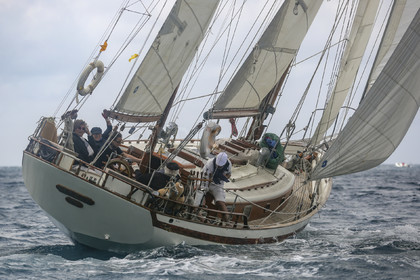 O60A5228.jpg