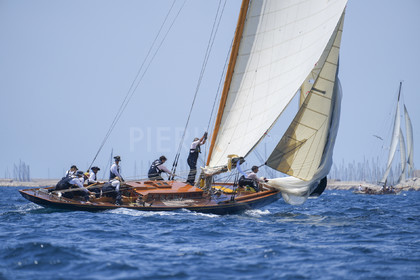 VVP_2023-08703.jpg